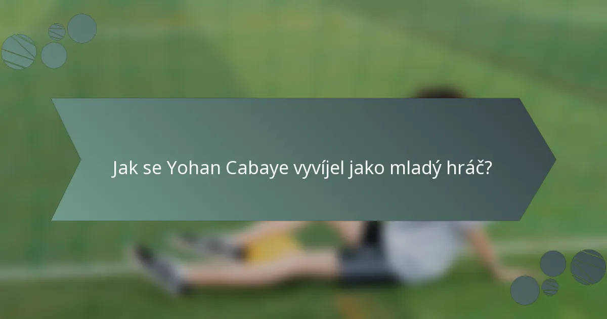 Jak se Yohan Cabaye vyvíjel jako mladý hráč?